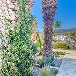 Kefalas In Naousa