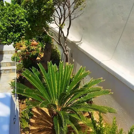 Kefalas In Apartment *