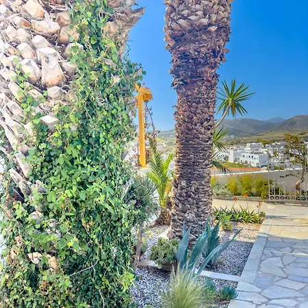 Kefalas In Naousa (Paros)